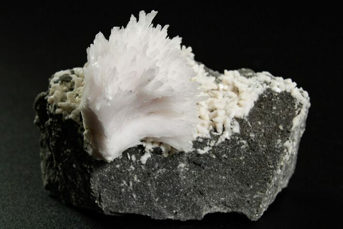 Pink Manganoan Calcite Crystal Cluster - Fluorescent! #361519